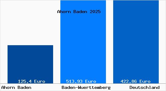 Aktueller Bodenrichtwert in Ahorn Baden