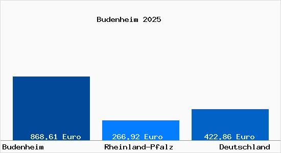Aktueller Bodenrichtwert in Budenheim b. Mainz