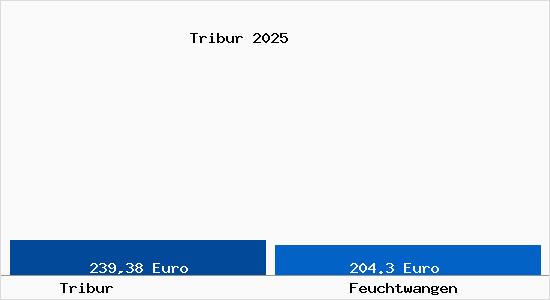 Aktueller Bodenrichtwert in Feuchtwangen Tribur