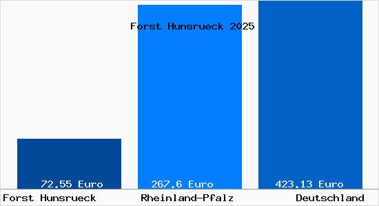 Aktueller Bodenrichtwert in Forst Hunsrueck