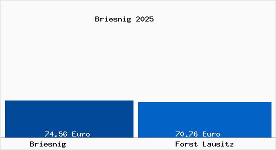 Aktueller Bodenrichtwert in Forst Lausitz Briesnig