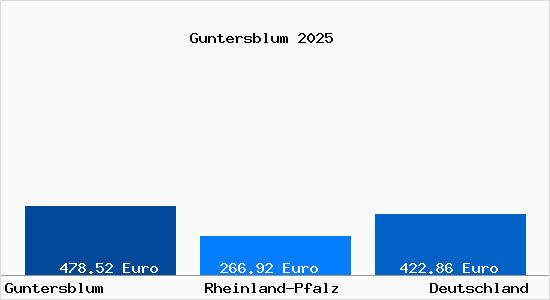 Aktueller Bodenrichtwert in Guntersblum