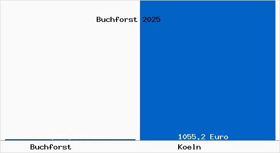 Aktueller Bodenrichtwert in Köln Buchforst