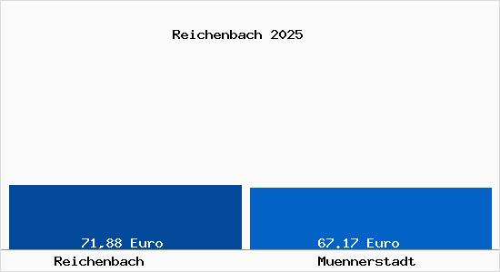 Aktueller Bodenrichtwert in M&uuml;nnerstadt Reichenbach