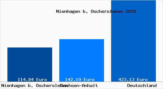 Aktueller Bodenrichtwert in Nienhagen b. Oschersleben