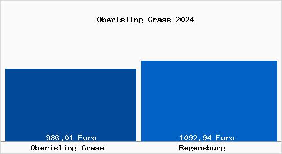 Aktueller Bodenrichtwert in Regensburg Oberisling Grass