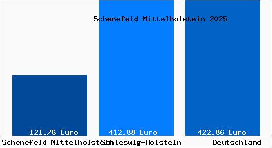 Aktueller Bodenrichtwert in Schenefeld Mittelholstein