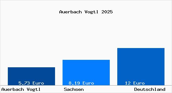 Aktueller Mietspiegel in Auerbach Vogtl