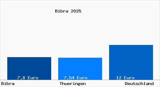 Aktueller Mietspiegel in Bibra b. Jena