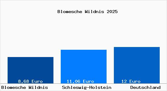Aktueller Mietspiegel in Blomesche Wildnis