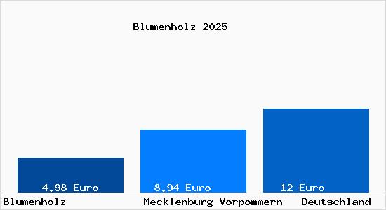 Aktueller Mietspiegel in Blumenholz
