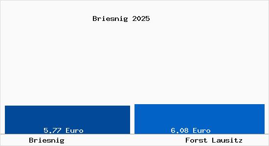 Vergleich Mietspiegel Forst Lausitz mit Forst Lausitz Briesnig