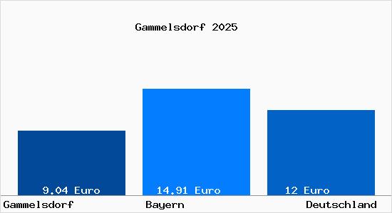 Aktueller Mietspiegel in Gammelsdorf