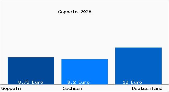 Aktueller Mietspiegel in Goppeln