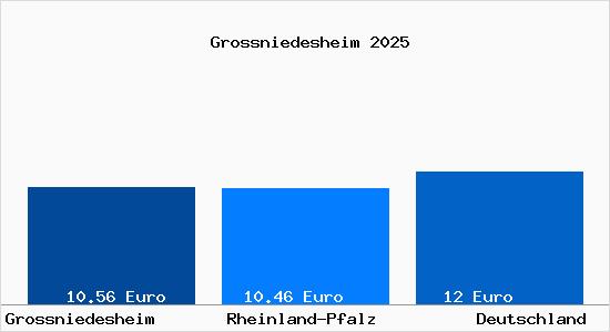 Aktueller Mietspiegel in Grossniedesheim