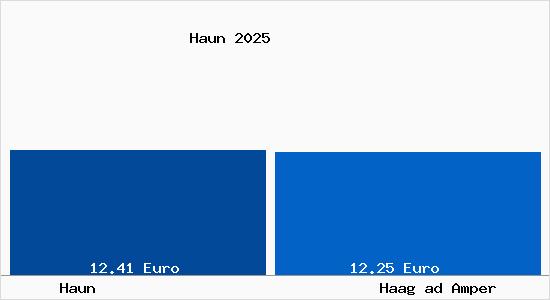 Vergleich Mietspiegel Haag ad Amper mit Haag ad Amper Haun