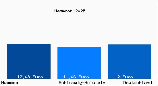 Aktueller Mietspiegel in Hammoor b. Ahrensburg