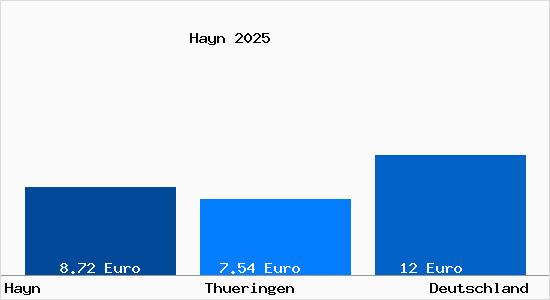 Aktueller Mietspiegel in Hayn Thueringen