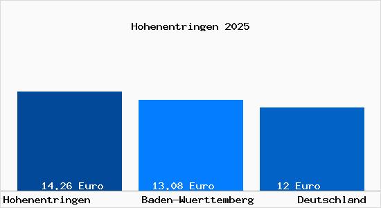 Aktueller Mietspiegel in Hohenentringen