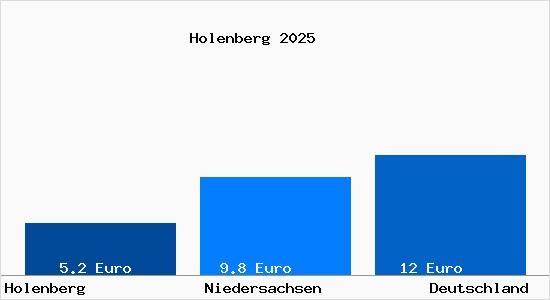 Aktueller Mietspiegel in Holenberg