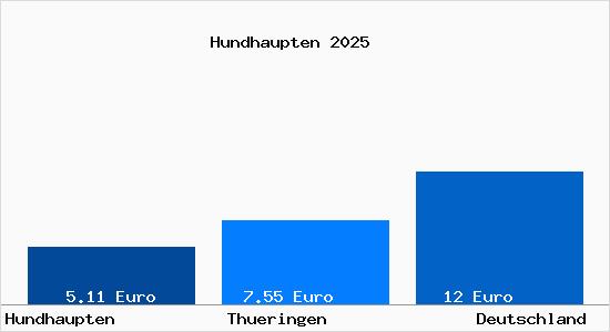 Aktueller Mietspiegel in Hundhaupten