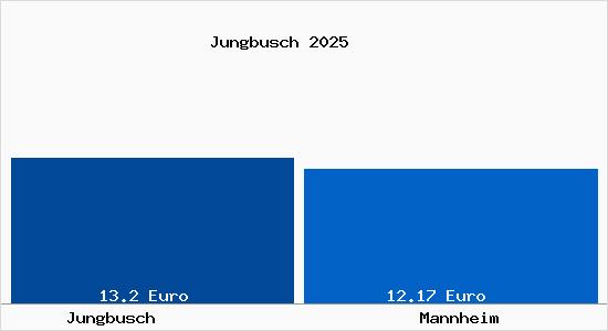 Vergleich Mietspiegel Mannheim mit Mannheim Jungbusch
