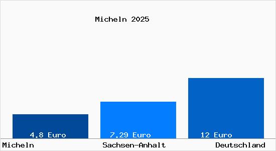 Aktueller Mietspiegel in Micheln