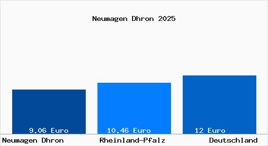Aktueller Mietspiegel in Neumagen Dhron