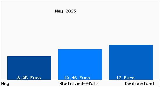 Aktueller Mietspiegel in Ney (Hunsr&uuml;ck)