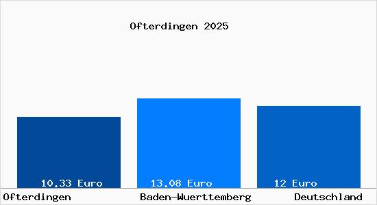 Aktueller Mietspiegel in Ofterdingen