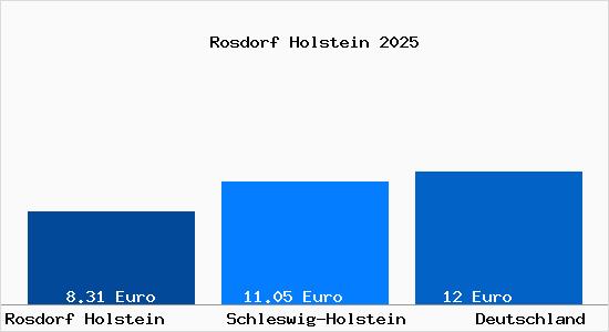 Aktueller Mietspiegel in Rosdorf Holstein