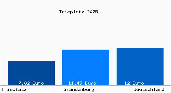 Aktueller Mietspiegel in Trieplatz