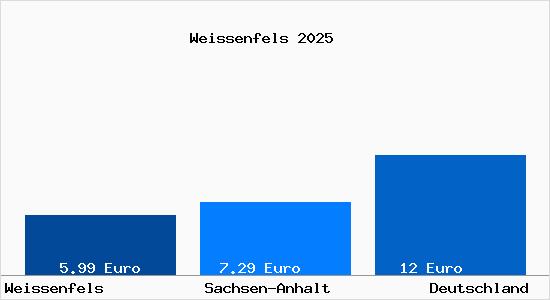 Aktueller Mietspiegel in Weißenfels Saale