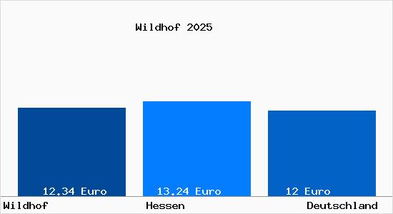 Aktueller Mietspiegel in Wildhof