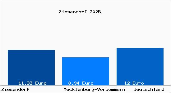 Aktueller Mietspiegel in Ziesendorf