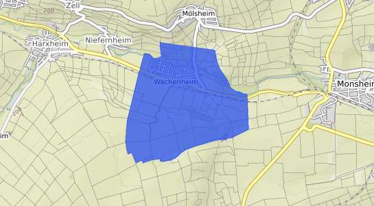 Bodenrichtwertkarte Wachenheim Rheinhessen