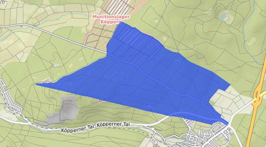 Bodenrichtwertkarte Rosbach vor der H&ouml;he Rodheim