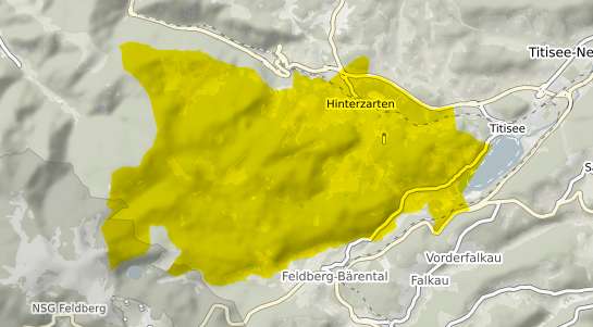 Immobilienpreisekarte Hinterzarten