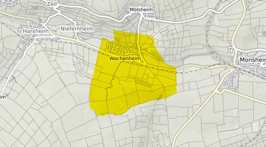 Immobilienpreisekarte Wachenheim Rheinhessen